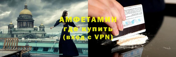 гидра Вяземский