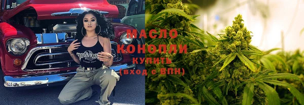 гидра Вяземский