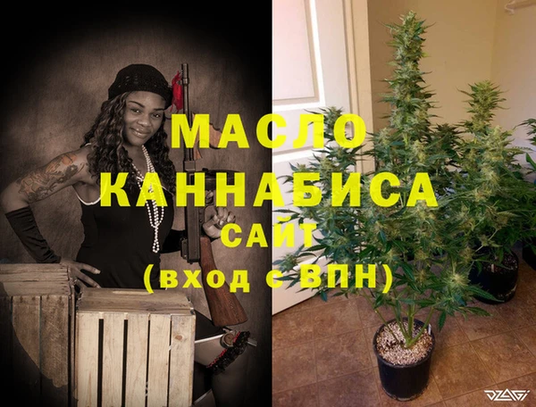 гидра Вяземский