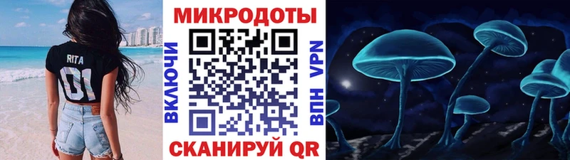 Псилоцибиновые грибы Psilocybine cubensis  Купить  Муром 